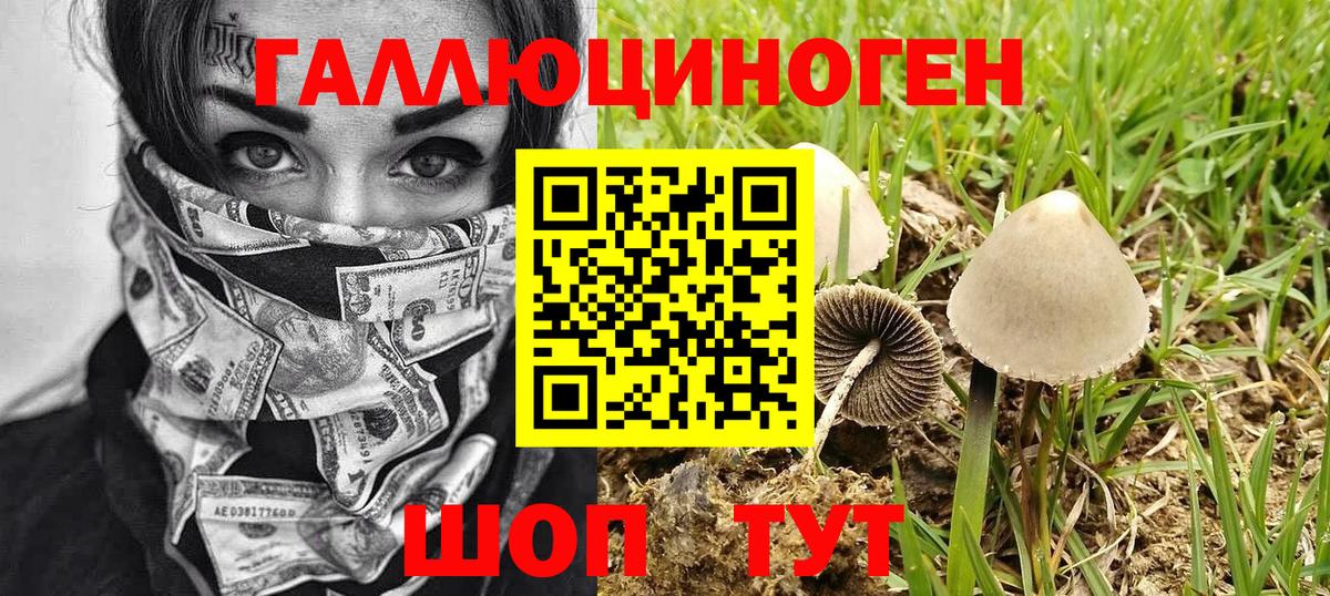 Гудермес  Галлюциногенные грибы MAGIC MUSHROOMS  Галлюциногенные грибы MAGIC MUSHROOMS  Вход с VPN 