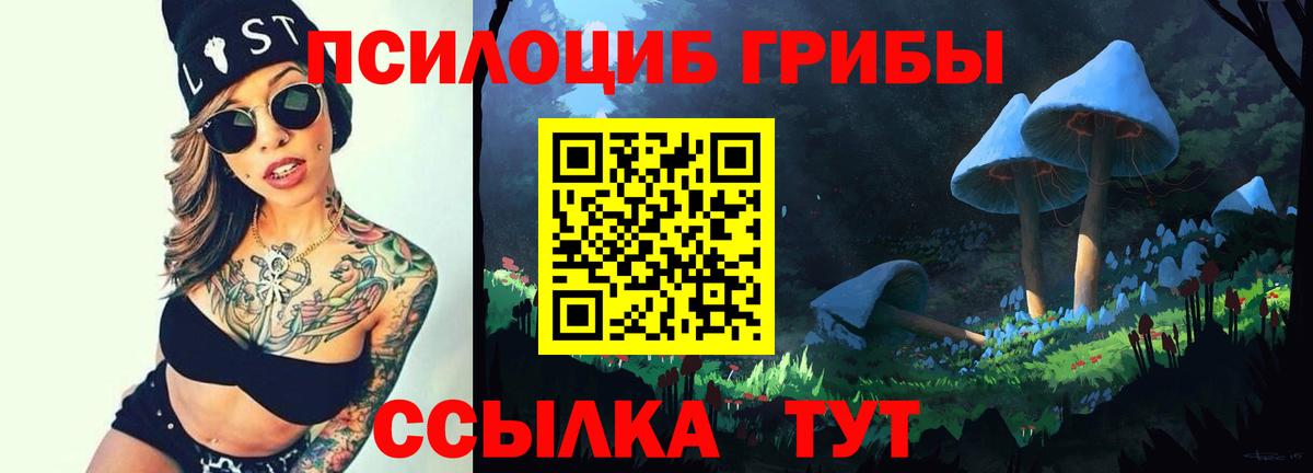Псилоцибиновые грибы ЛСД Гудермес